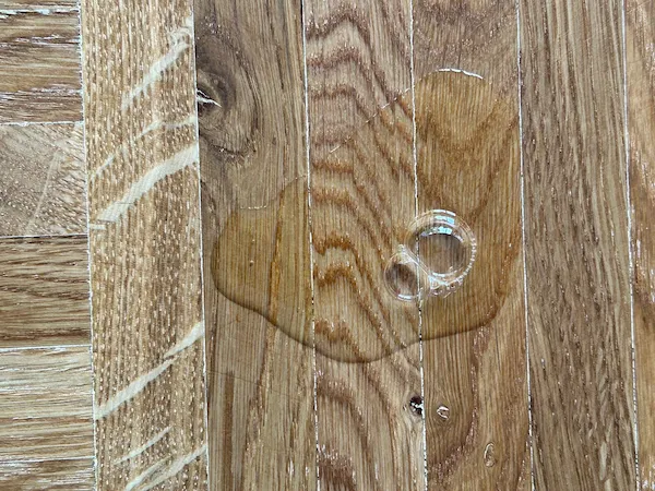 Nahaufnahme eines Parkettboden, auf den in der Mitte etwas Spülmittel mit Wasser aufgetragen wurde.. Diese Stelle zeigt, dass es sich um schichtbildend geöltes Parkett handelt.